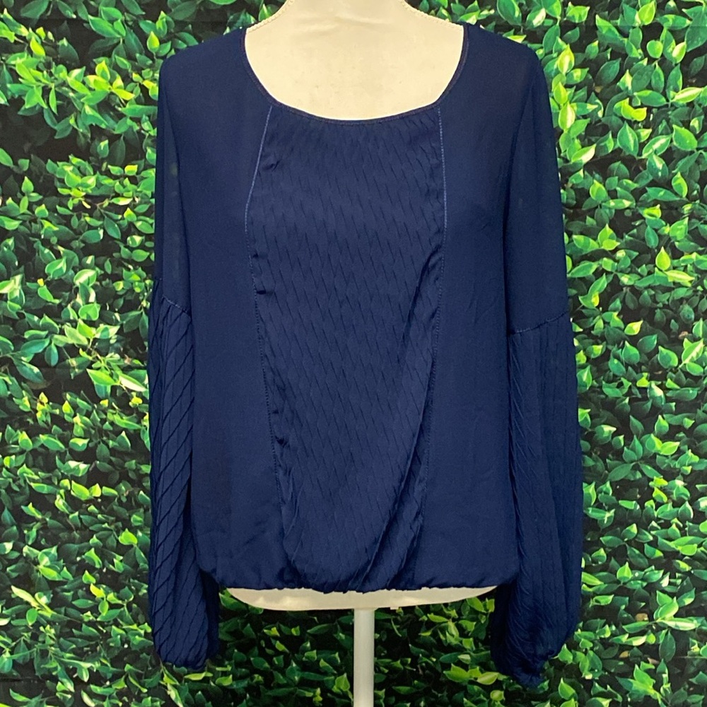 Studio M Chiffon Long Sheer Sleeves Lined Bodice Elastic Hem Blouse Size Small